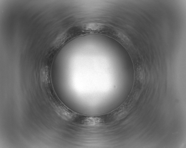X0000059790328200510211124