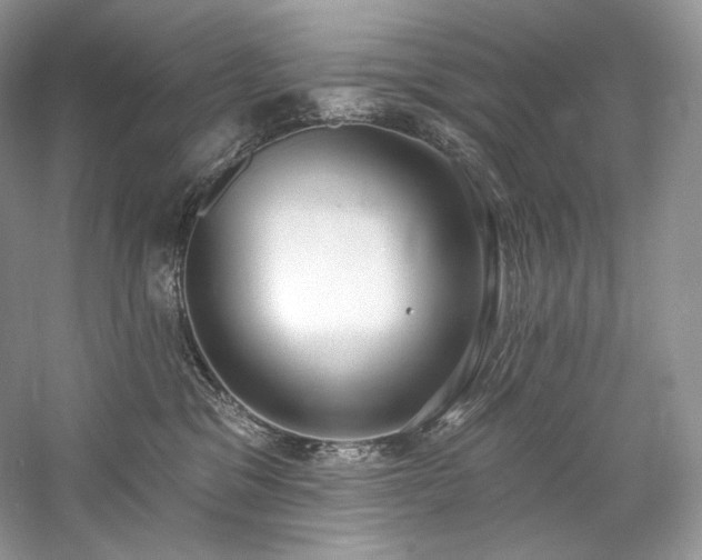 X0000059790329200510211124