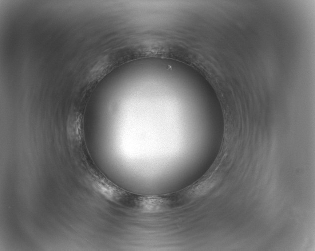 X0000059790336200510211124