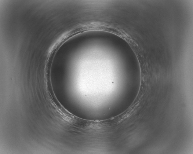 X0000059790341200510211123