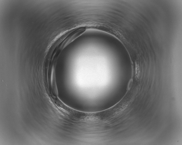 X0000059790348200510211123