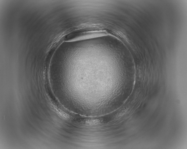 X0000059790357200510211123
