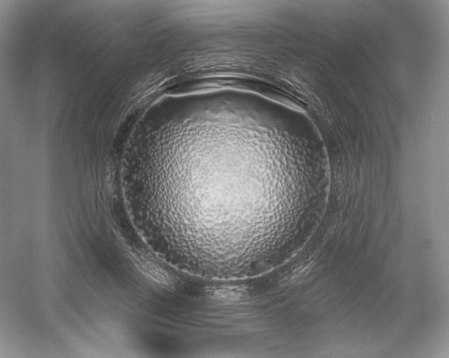 X0000059790359200510211123