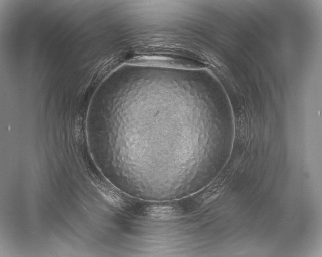 X0000059790361200510211123