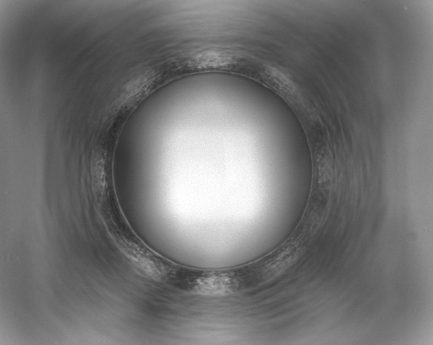 X0000059790362200510211123