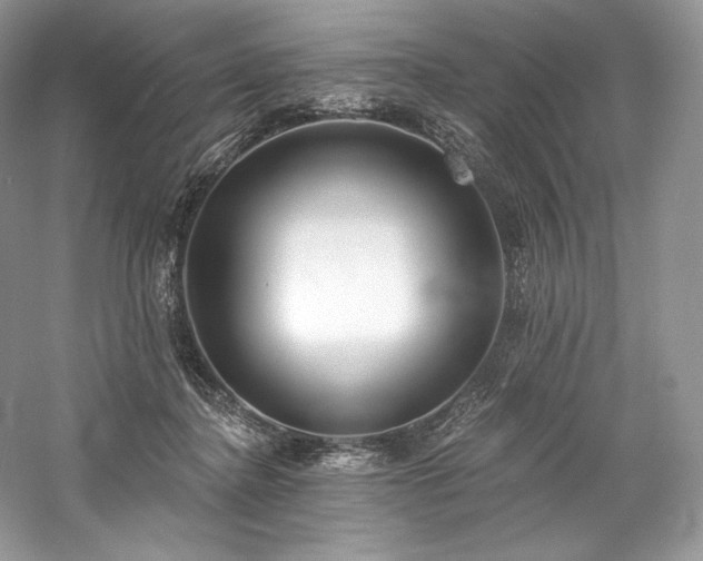 X0000059790364200510211123