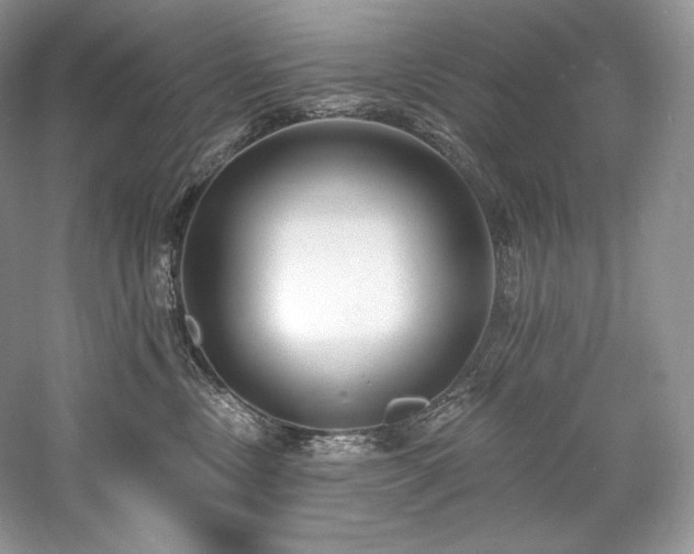 X0000059790378200510211124