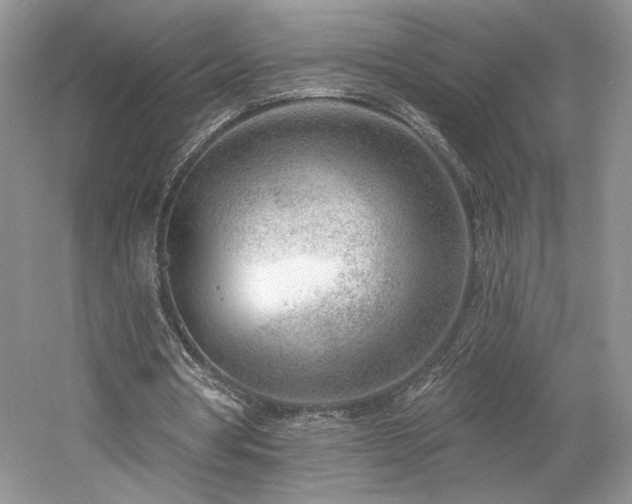 X0000059790386200510211123