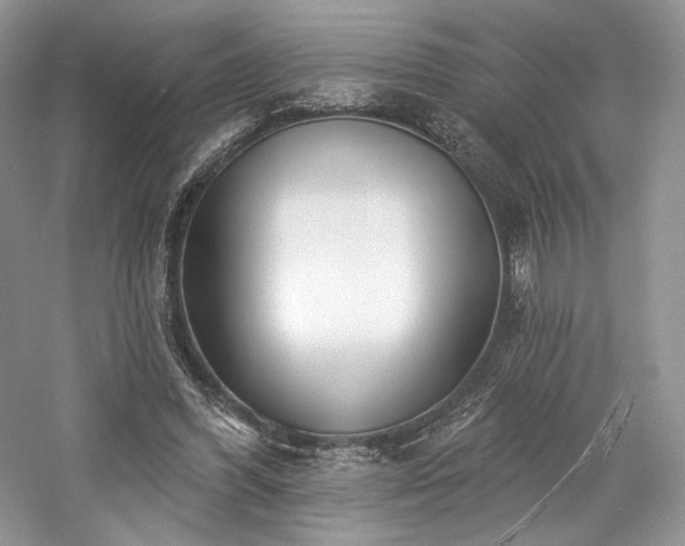 X0000059790396200510211123