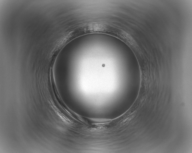 X0000059790401200510211123