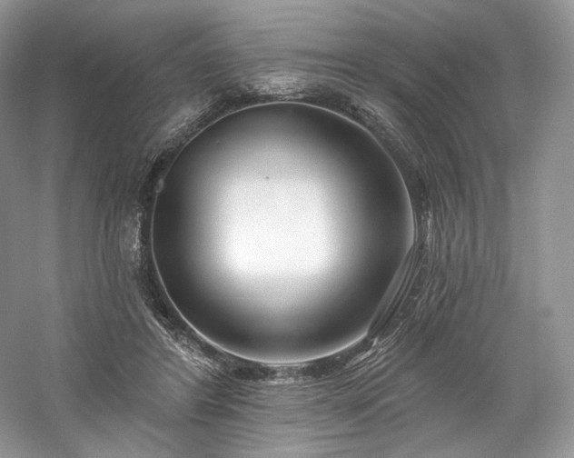 X0000059790404200510211123