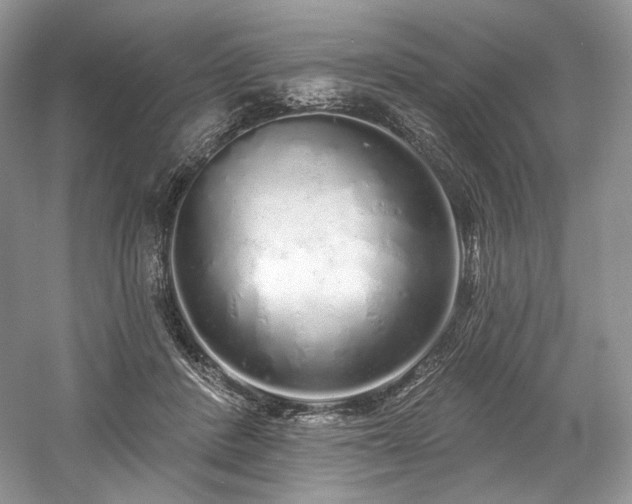X0000059790408200510211122