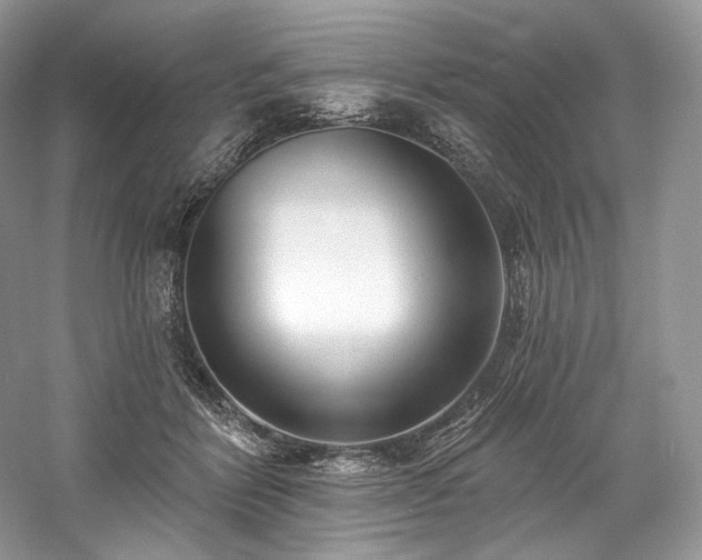 X0000059790412200510211122