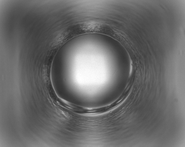 X0000059790416200510211122