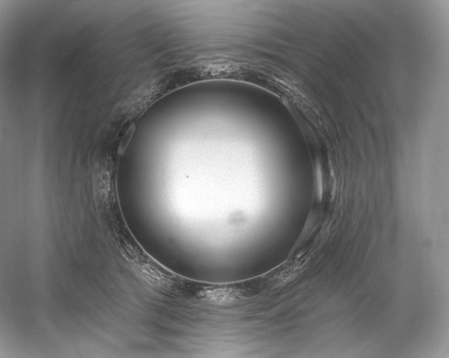X0000059790417200510211122