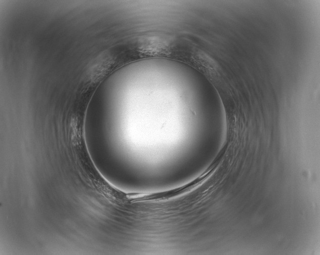 X0000059790420200510211122