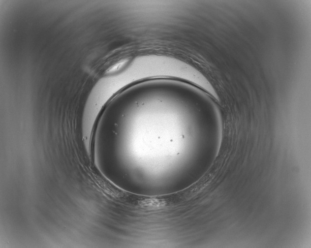 X0000059790421200510211122