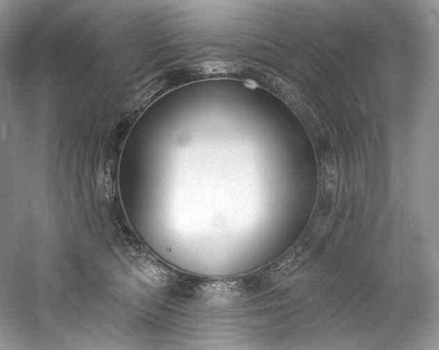 X0000059790422200510211122
