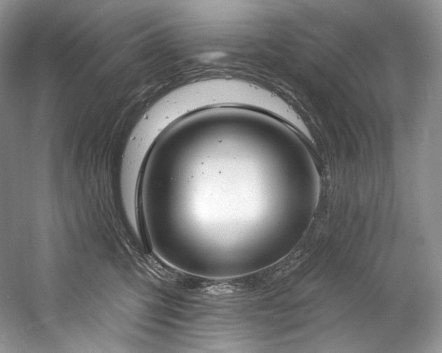 X0000059790423200510211122