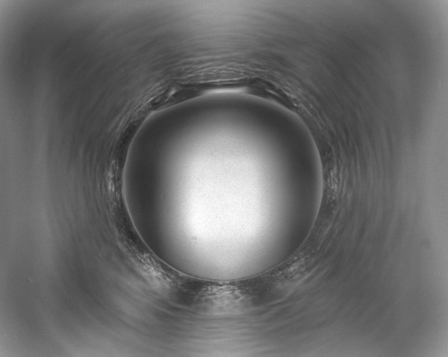 X0000059790424200510211122