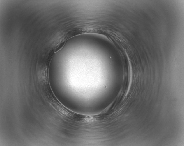 X0000059790425200510211122