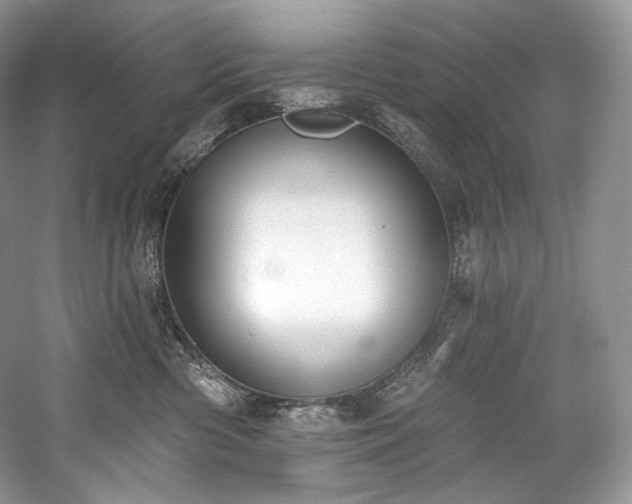 X0000059790426200510211122