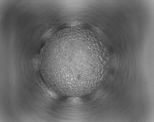 X0000059790427200510211122