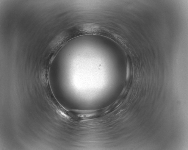 X0000059790428200510211122