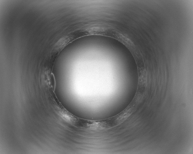 X0000059790430200510211122