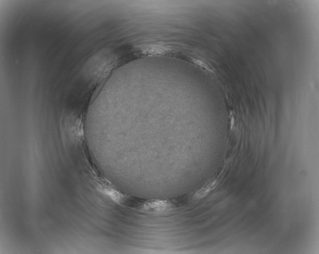 X0000059790431200510211122