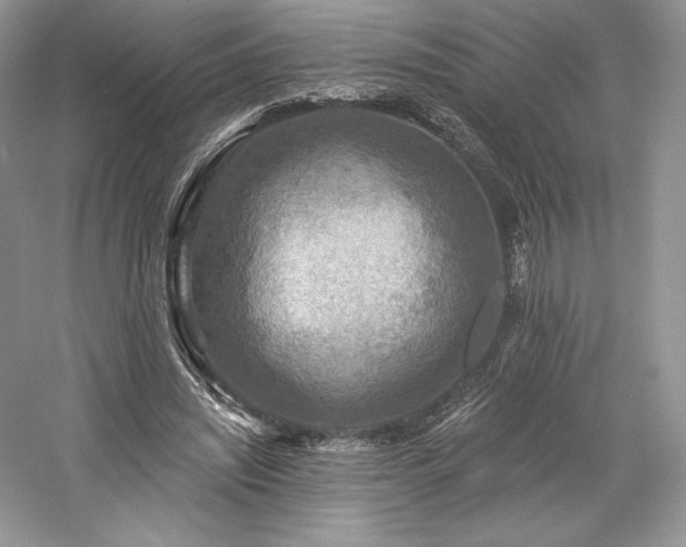 X0000059790444200510211121