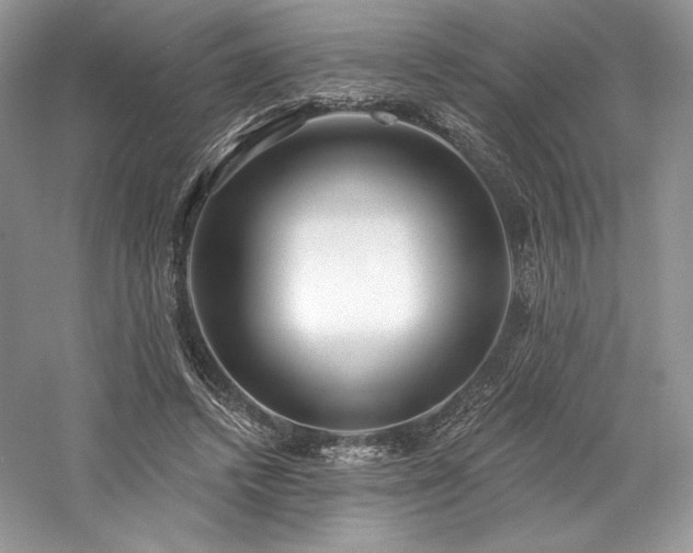 X0000059790448200510211122