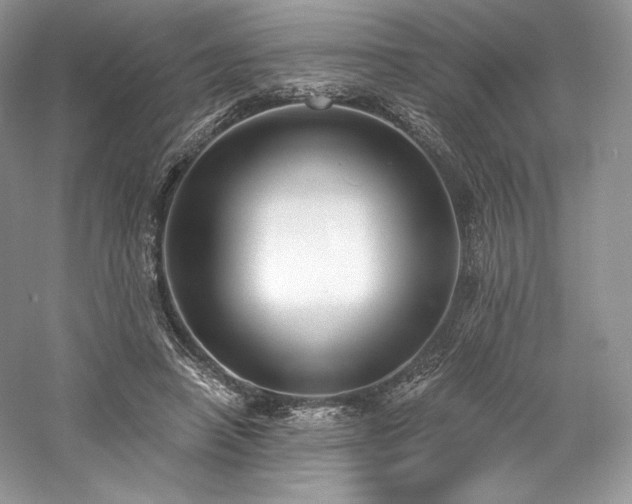 X0000059790450200510211122