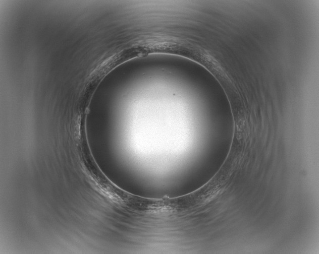 X0000059790454200510211122