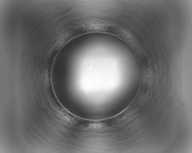 X0000059790457200510211122