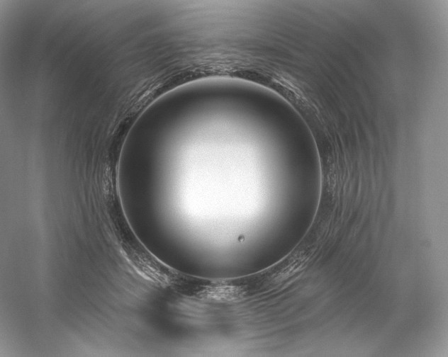 X0000059790459200510211122