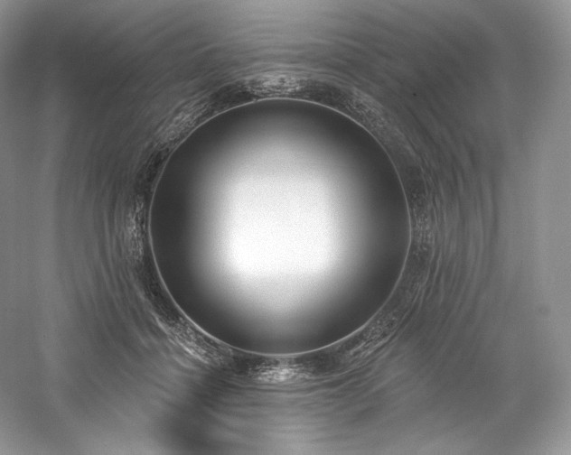 X0000059790460200510211122