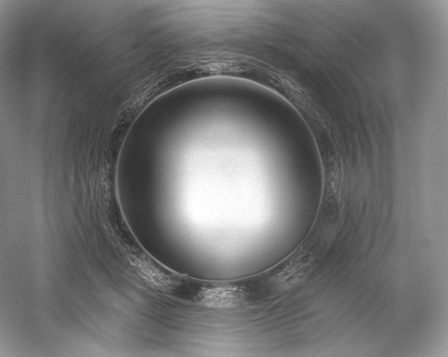X0000059790461200510211122
