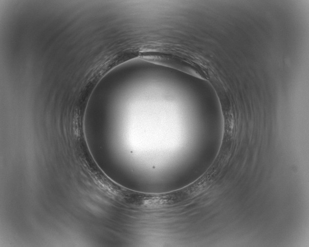 X0000059790470200510211122