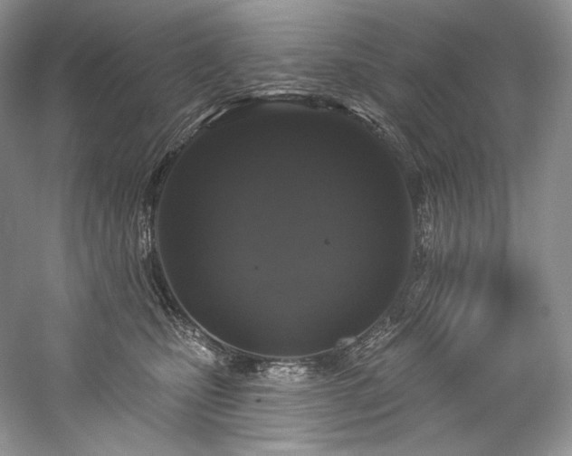 X0000059790471200510211122