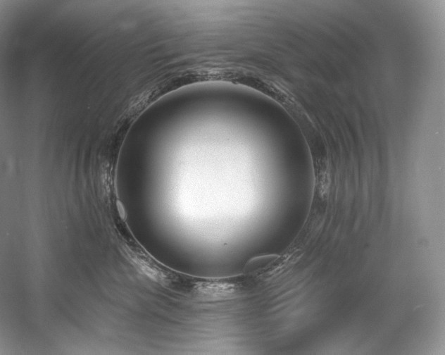 X0000059790476200510211122