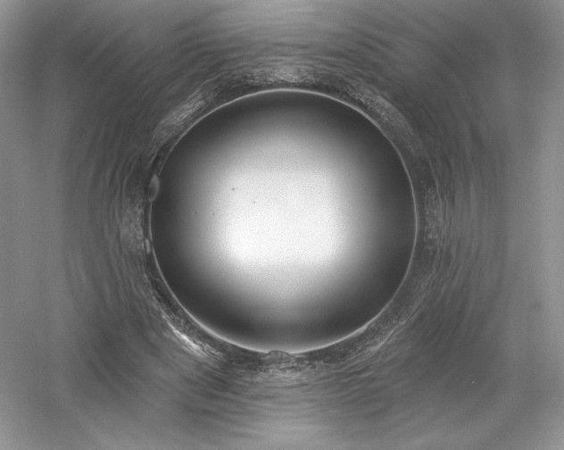 X0000059790489200510211121
