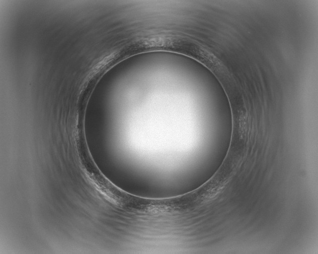 X0000059790490200510211121