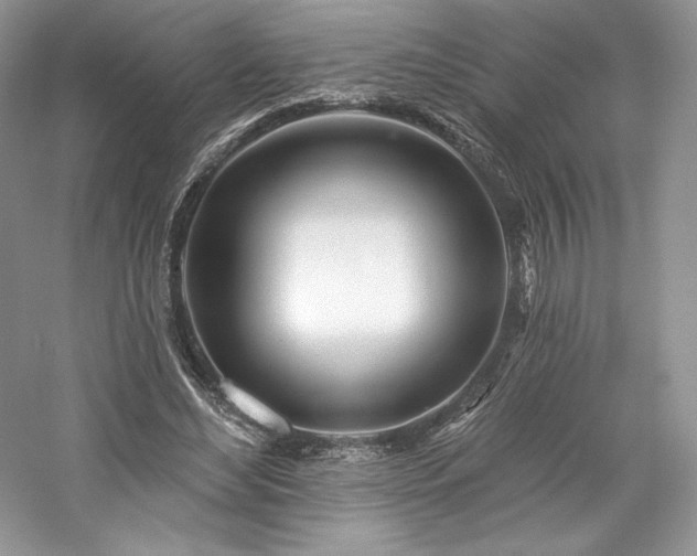 X0000059790492200510211121