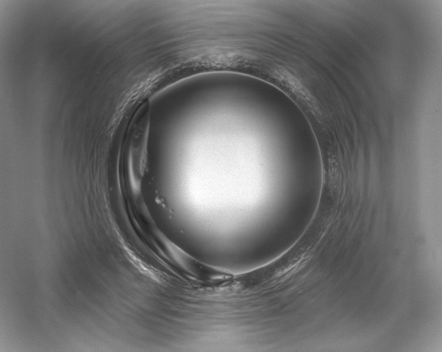 X0000059790493200510211121