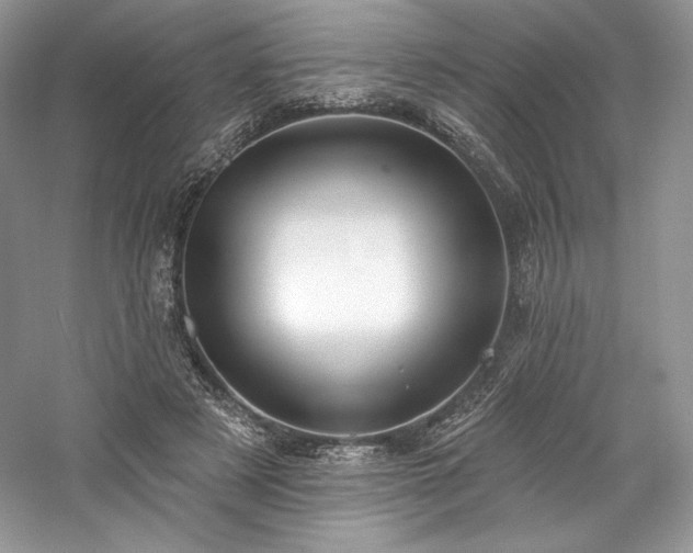 X0000059790497200510211121
