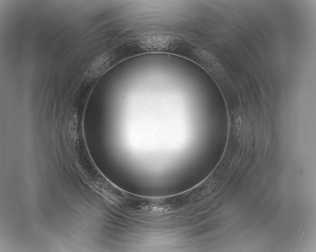 X0000059790498200510211121