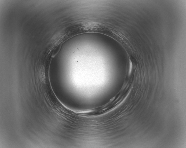 X0000059790508200510211121