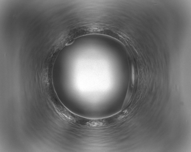 X0000059790512200510211121