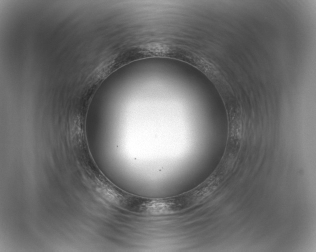 X0000059790518200510211121